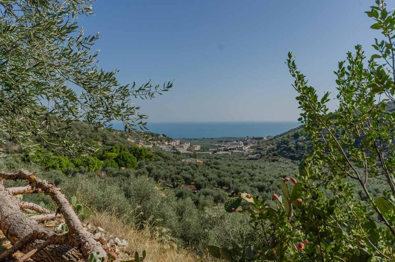 Agriturismo Madonna Incoronata Матината Екстериор снимка