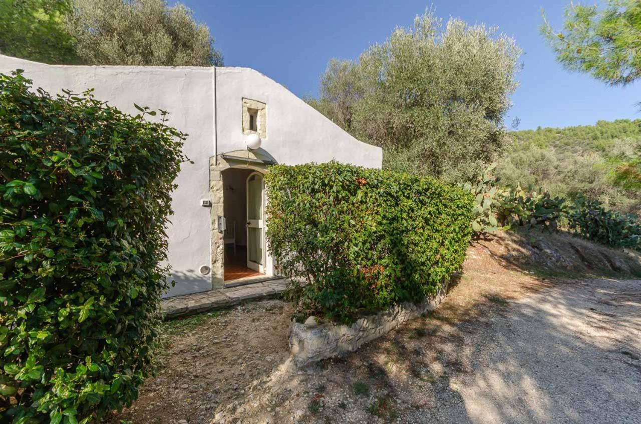 Agriturismo Madonna Incoronata Матината Екстериор снимка