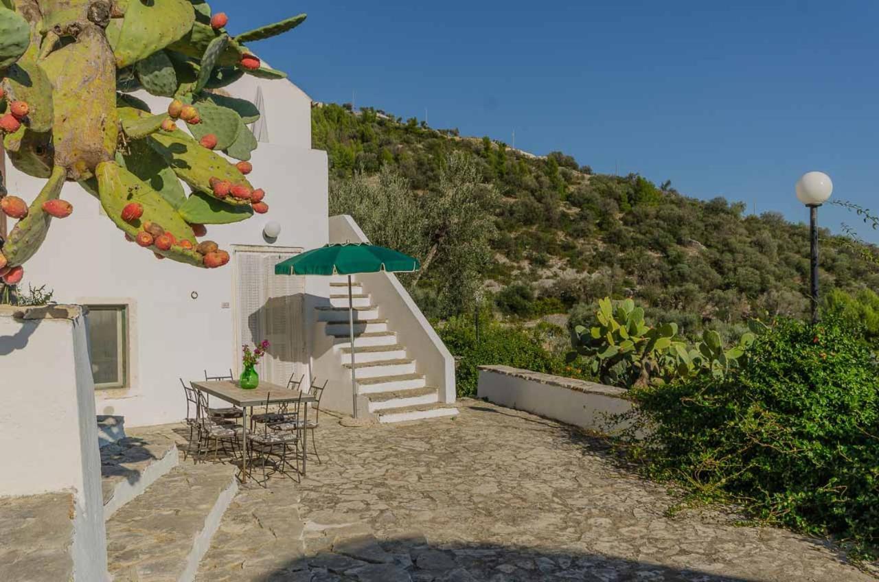 Agriturismo Madonna Incoronata Матината Екстериор снимка