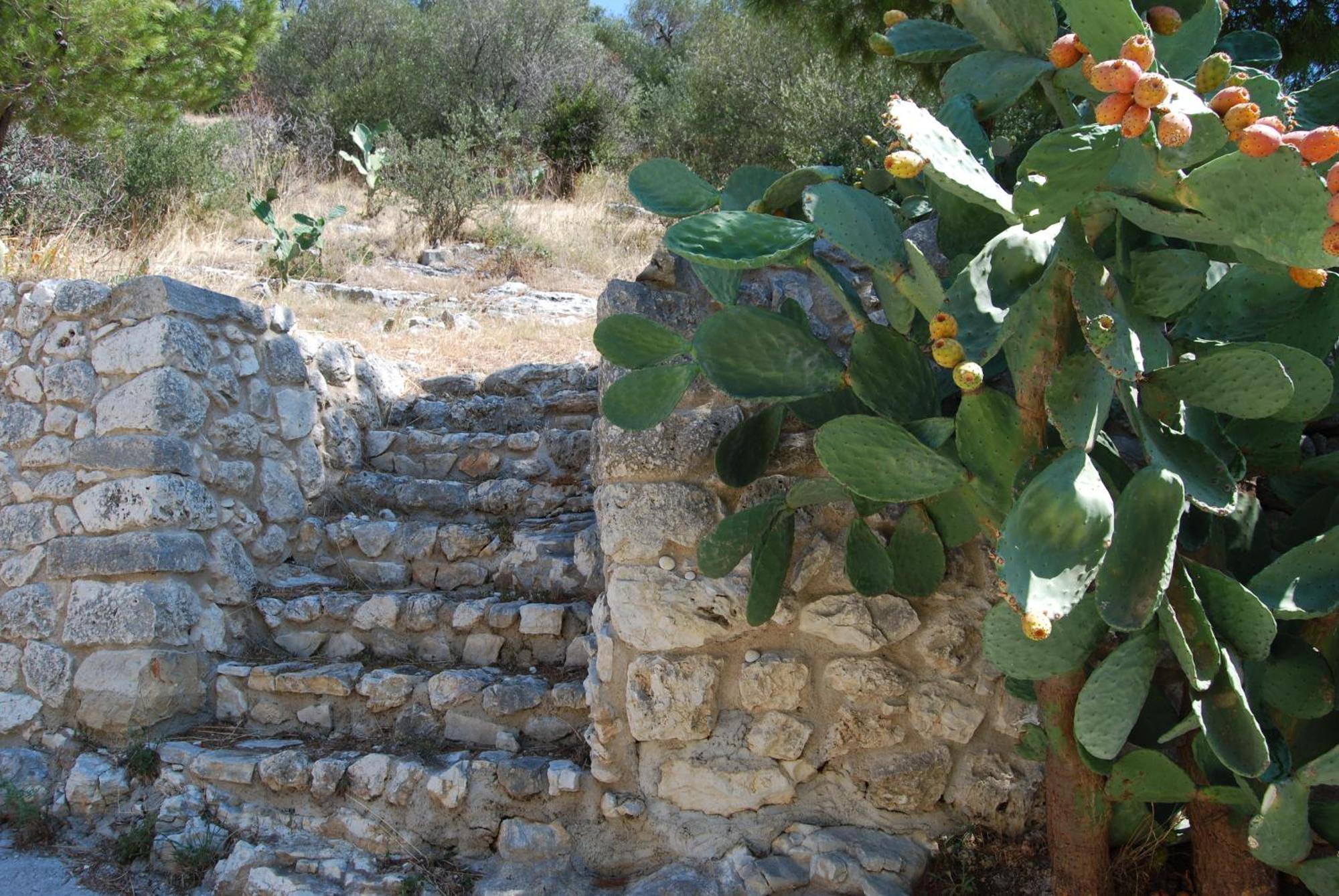 Agriturismo Madonna Incoronata Матината Екстериор снимка